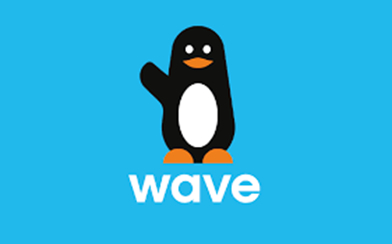 wave